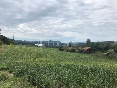 Foto Área