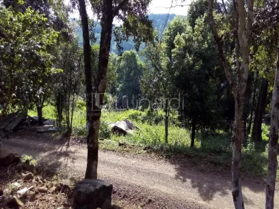 Foto Área