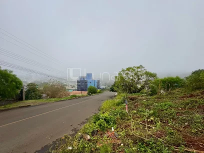 Foto Terreno