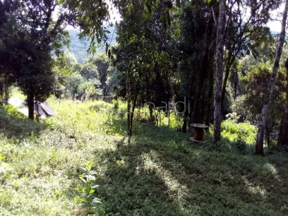 Foto Área