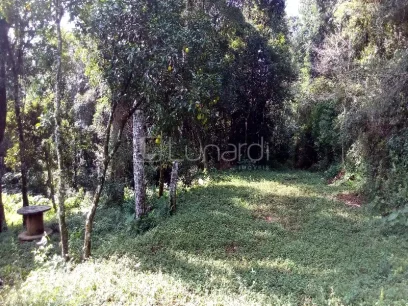Foto Área