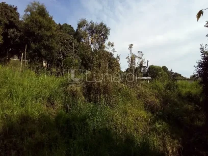 Foto Área