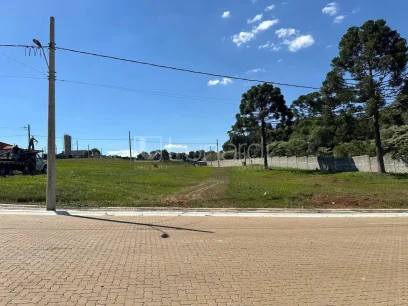 Foto Terreno