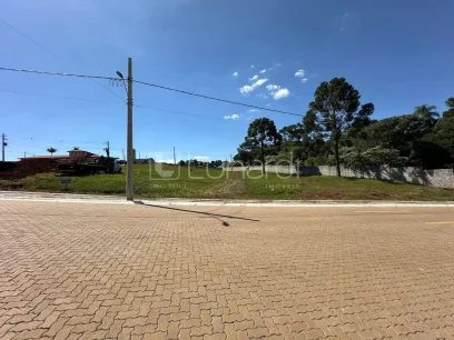 Foto Terreno