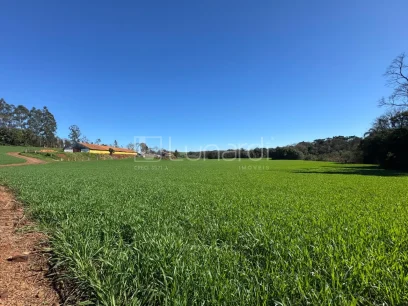 Foto Área
