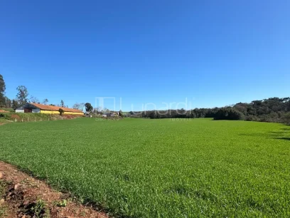 Foto Área
