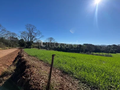 Foto Área