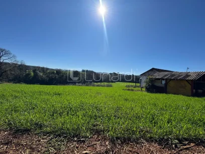 Foto Área