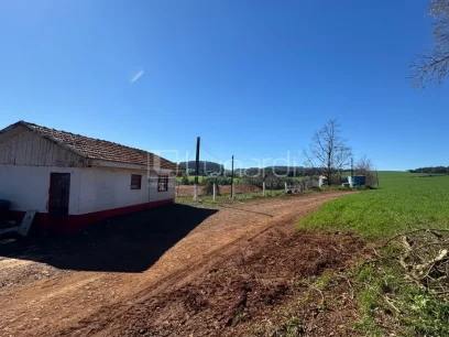 Foto Área