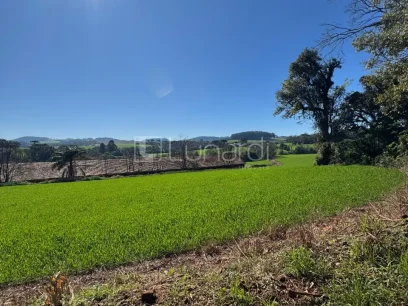Foto Área