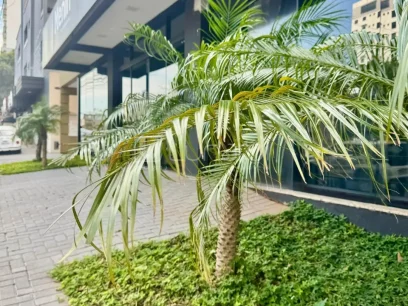 Foto Apartamento com 2 Dormitórios