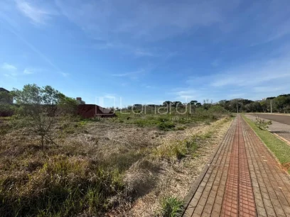 Foto Terreno
