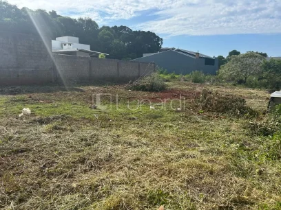 Foto Terreno