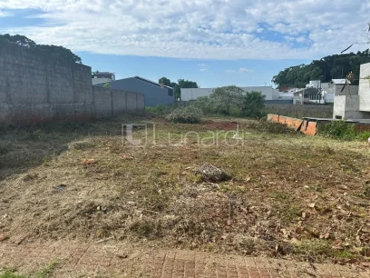 Foto Terreno