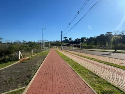 Foto Terreno