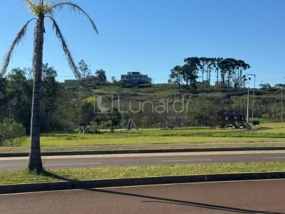 Foto Terreno
