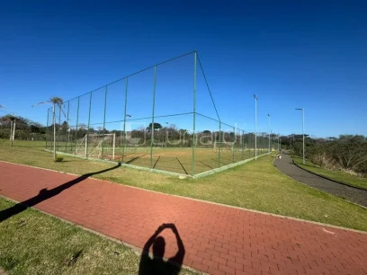 Foto Terreno