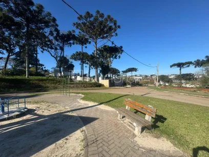 Foto Terreno