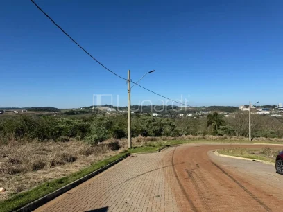 Foto Terreno