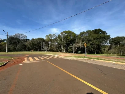 Foto Terreno