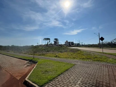Foto Terreno