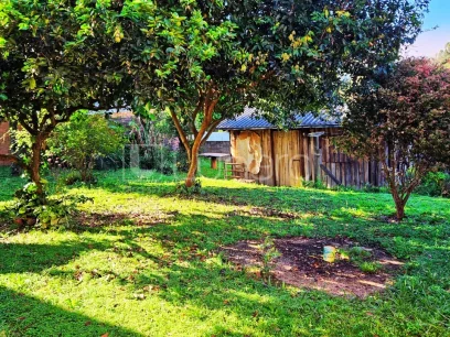 Foto Casa com 3 Dormitórios