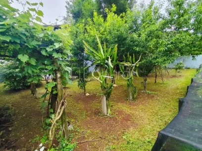 Foto Casa com 3 Dormitórios