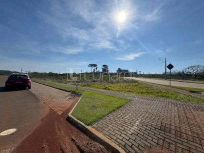 Foto Terreno