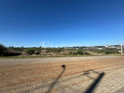 Foto Terreno