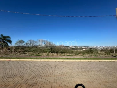Foto Terreno