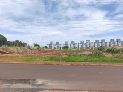 Foto Terreno