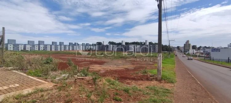 Terreno