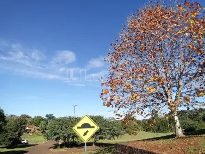 Foto Casa com 3 Dormitórios