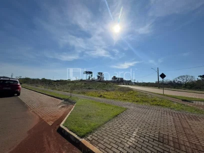 Foto Terreno