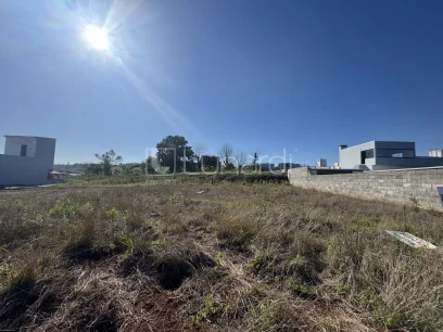 Foto Terreno