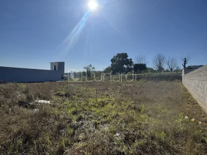 Foto Terreno