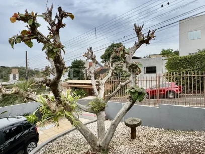 Foto Casa com 3 Dormitórios