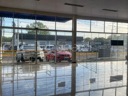 Foto Galpão