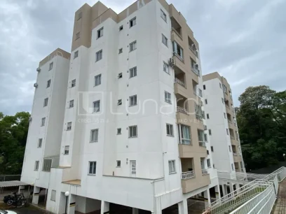 Apartamento com 2 Dormitórios