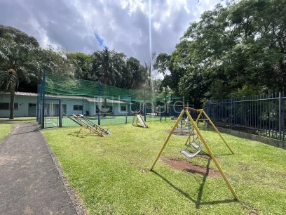 Foto Apartamento com 2 Dormitórios