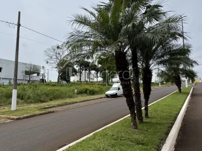Foto Terreno