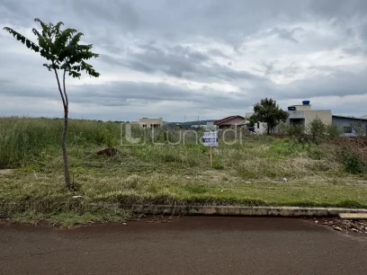 Foto Terreno