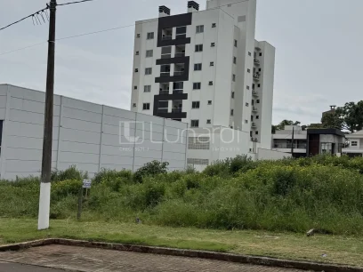 Foto Terreno