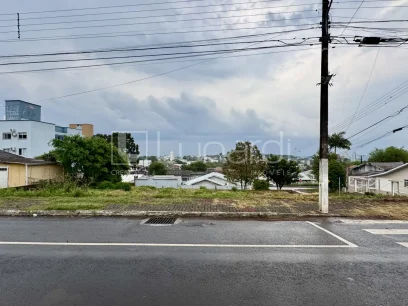 Foto Terreno