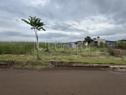 Foto Terreno