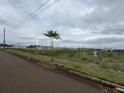 Foto Terreno
