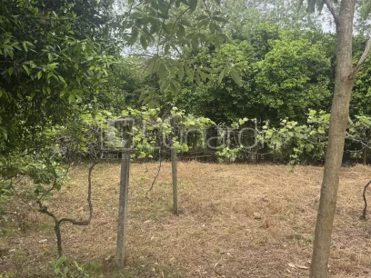 Foto Terreno