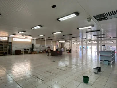 Foto Sala Comercial