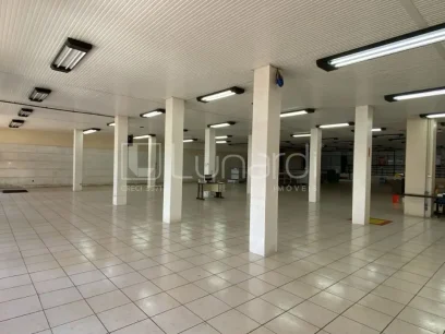 Foto Sala Comercial