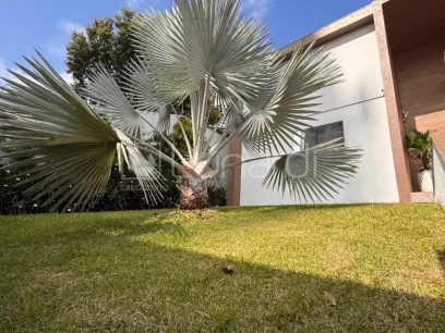 Casa com 3 Dormitórios